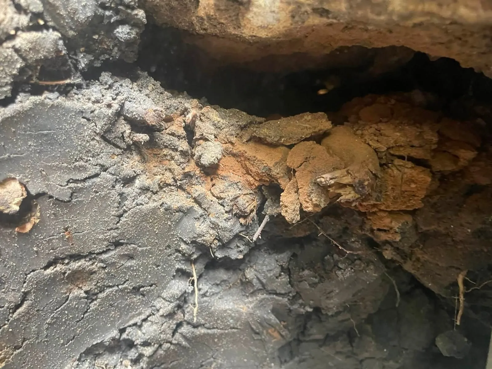 ROMAN FOUNDATION REPAIR